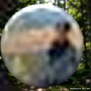0353222c-20d0-4214-842f-d5216e8672e3-0