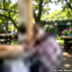 22a4b068-cb38-4362-a08d-aa7958c784b3-0