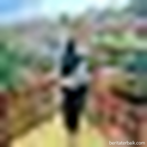 4005777d-8c42-4aa9-9ed9-79008df737d0-0