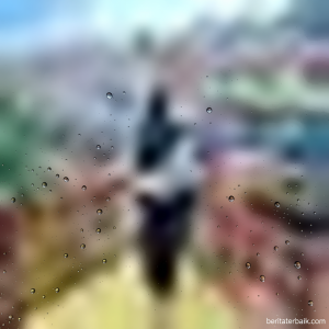 f62ccb01-383f-44f3-83a5-60a167bfbdaf-0